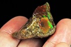 41Ct Ethiopian Black Opal Rough Specimen MSQO5214 — photo 3