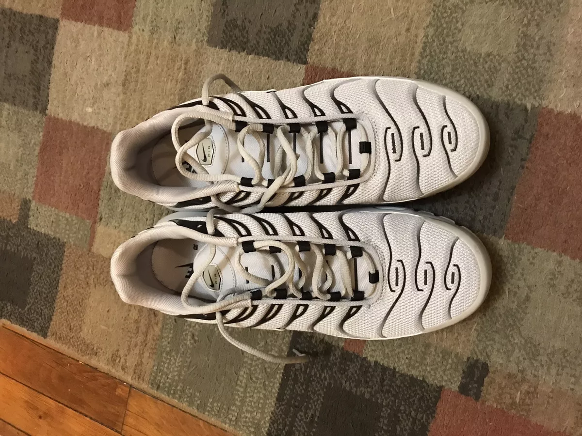 nike tn air max size 11 men wolf grey