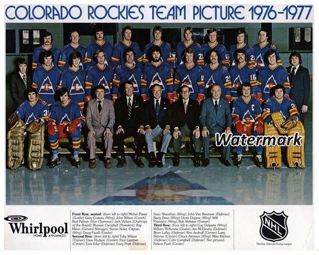 NHL 1976 77 Colorado Rockies Color Team Picture 8 X 10 Photo Picture