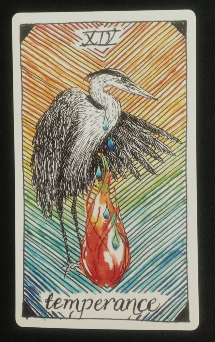 The Wild Unknown Tarot Card XlV Temperance 4.75