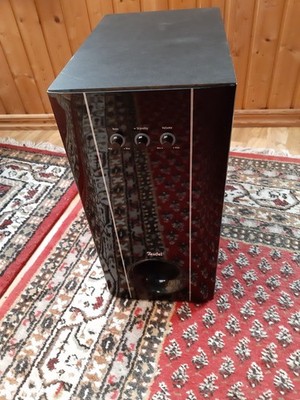 Teufel CE 200 SW Aktiv-Subwoofer