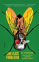 K. Ferrari | Like Flies From Afar | Taschenbuch | Englisch (2021)