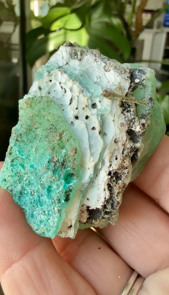 Gemmy Blue-Green Smithsonite Botryoidal Plate-Kelly Mine Socorro NM 7.2x5cm - Image 3 of 4