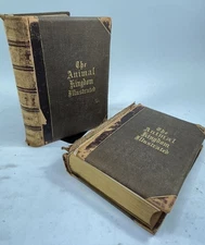 Johnson's Natural History, Illustrating and Describing the Animal Kingdom, 1872