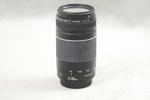 Canon 75-300 Lens