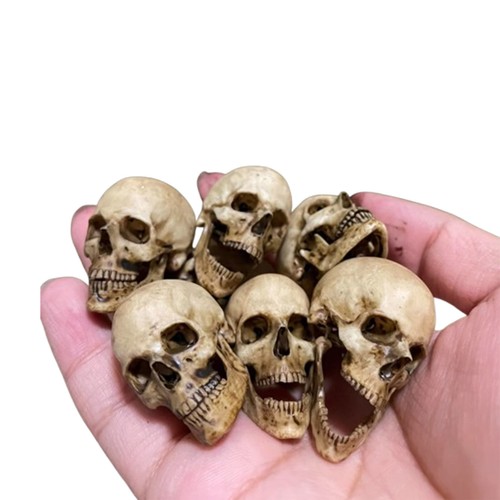 Maßstab 1/6 menschlicher Schädel Skelett PVC Modell für 12" Actionfigur Teile PropAu0 - Bild 10 von 20