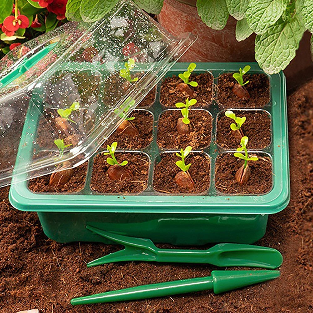 5Pack Seed Starter Tray with Grow Light Seed Starter Kit Plant Germination Kit