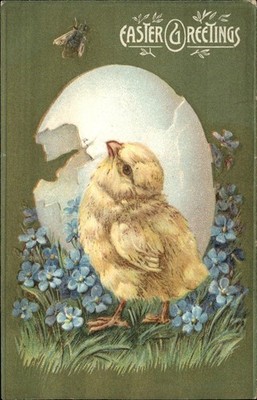 Easter Chick in Eggshell Animals Embossed c1910s-20s Vintage Postcard