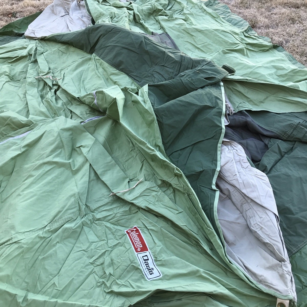Vintage Coleman OASIS Green Canvas 10x8 Camping Tent Excellent