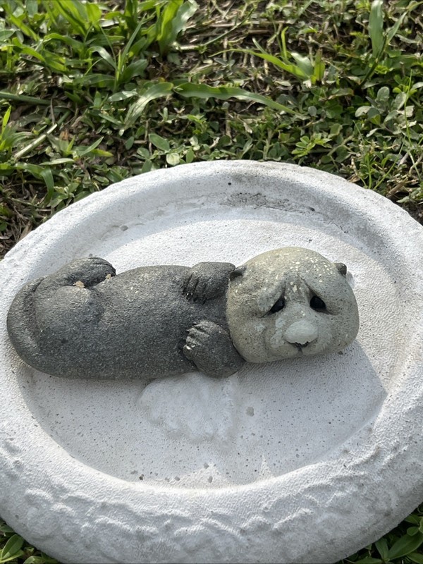 latex fiberglass mold. Make Concrete Or Plaster 5.5 Inches Long Otter. 