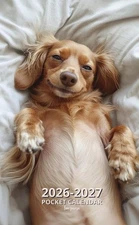 Dachshund Pocket Calendar 2026-2027 for Purse: 2 Year Pocket Planner January 202