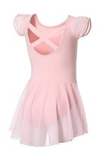 Ballet Leotards for Girls Ballet Leotard with Skirt Toddler 4-6 Years Pink