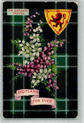 38156869 - The Graham Tartan Scotland for ever Heidekraut auf kariertem Tuch