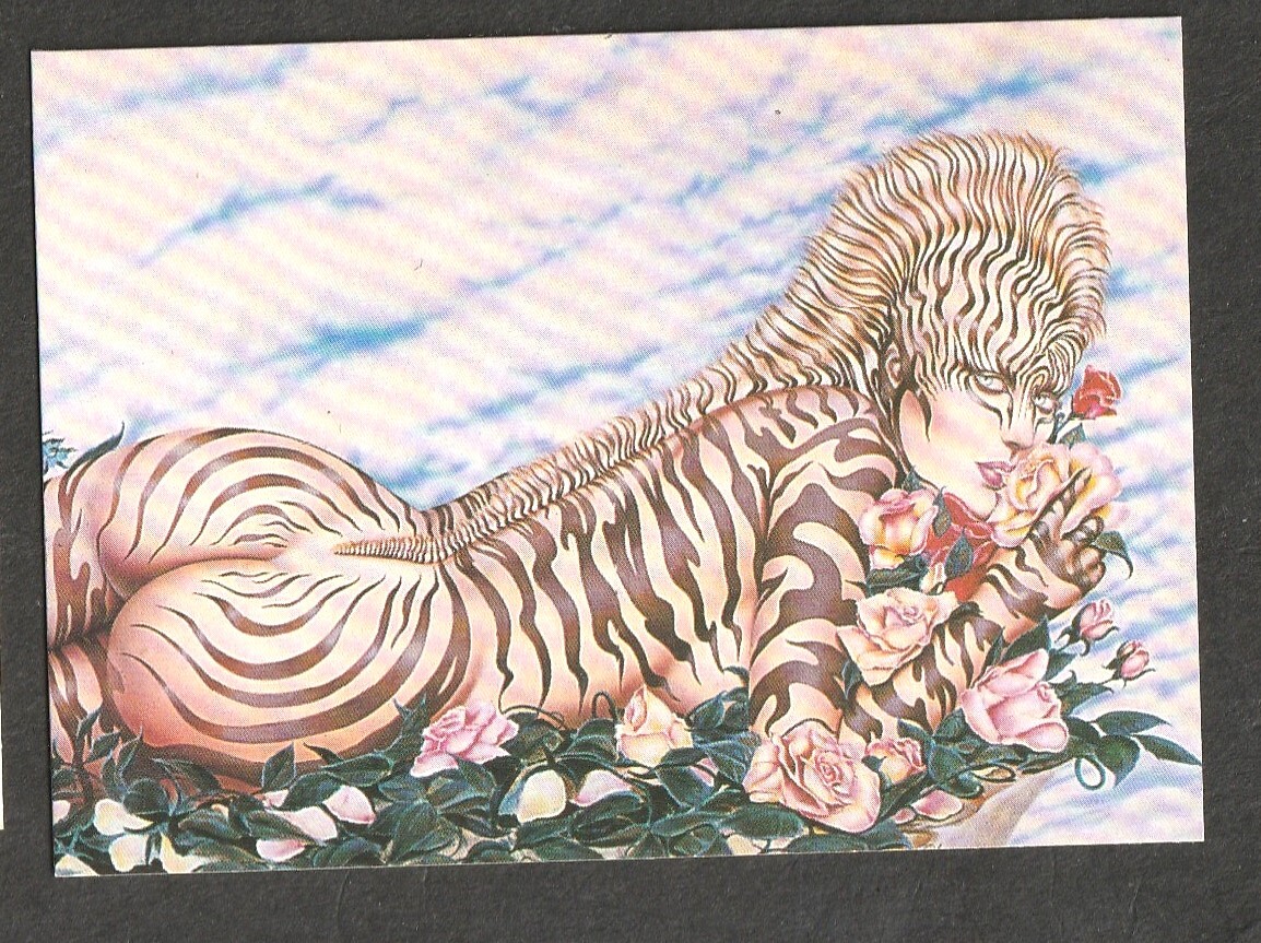 Picture 30 of 65