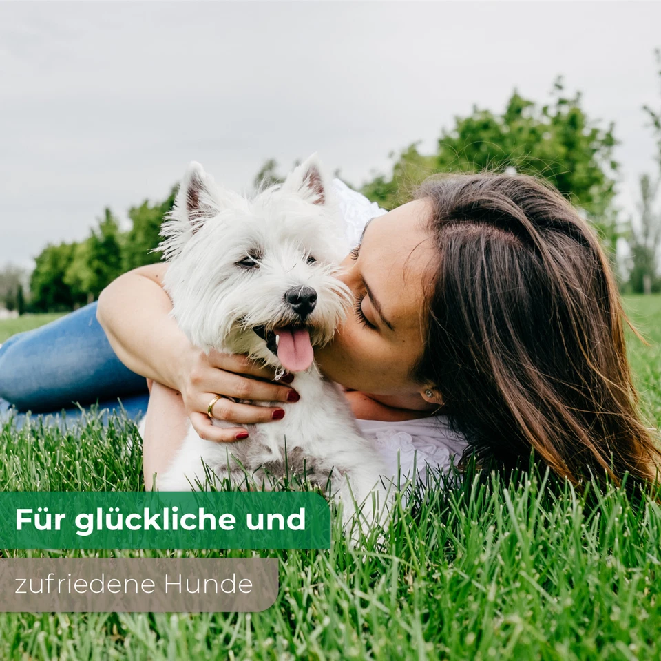 MY HAPPY PETS Hundefutter Pastete 4 verschiedene Sorten 90 x 300g - Bild 3 von 4