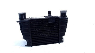 Renault Modus / Grand Modus Ladeluftkühler 2004-2025 876893NF K9K-750