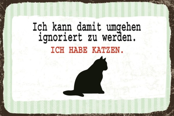 Blechschild 30X40 Cm Ignoriert Werden Katze Schild Deko Geschenk Schild-image
