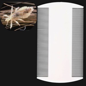 Double Sided Nit Comb Head Lice Headlice Egg Removal Hair Brush
