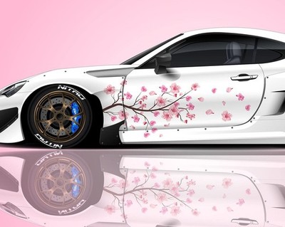 De Boomtak Van De Japanse Sakura-kersenbloesem Met Bloemen in Volle