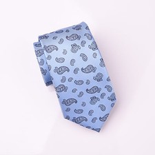 Light Blue Paisley Floral Skinny 3" Tie Designer Luxury Lavish Baroque Fashion