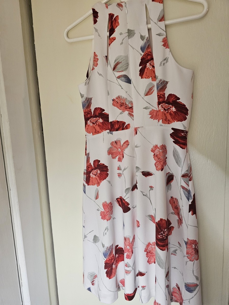 Banana Republic Dress 2 White Red Flower Floral Print Pattern Lined  Sleeveless | eBay