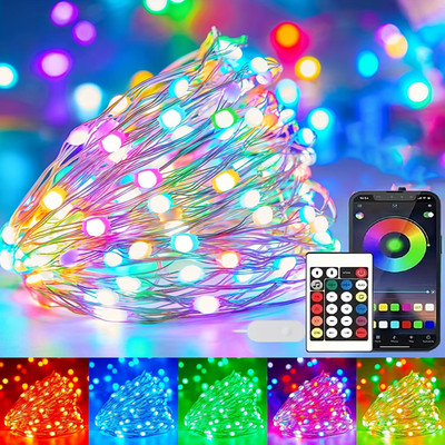 I RGBIC LED Lichterkette WS2812B Smart USB App Steuerung Outdoor Xmas Deko