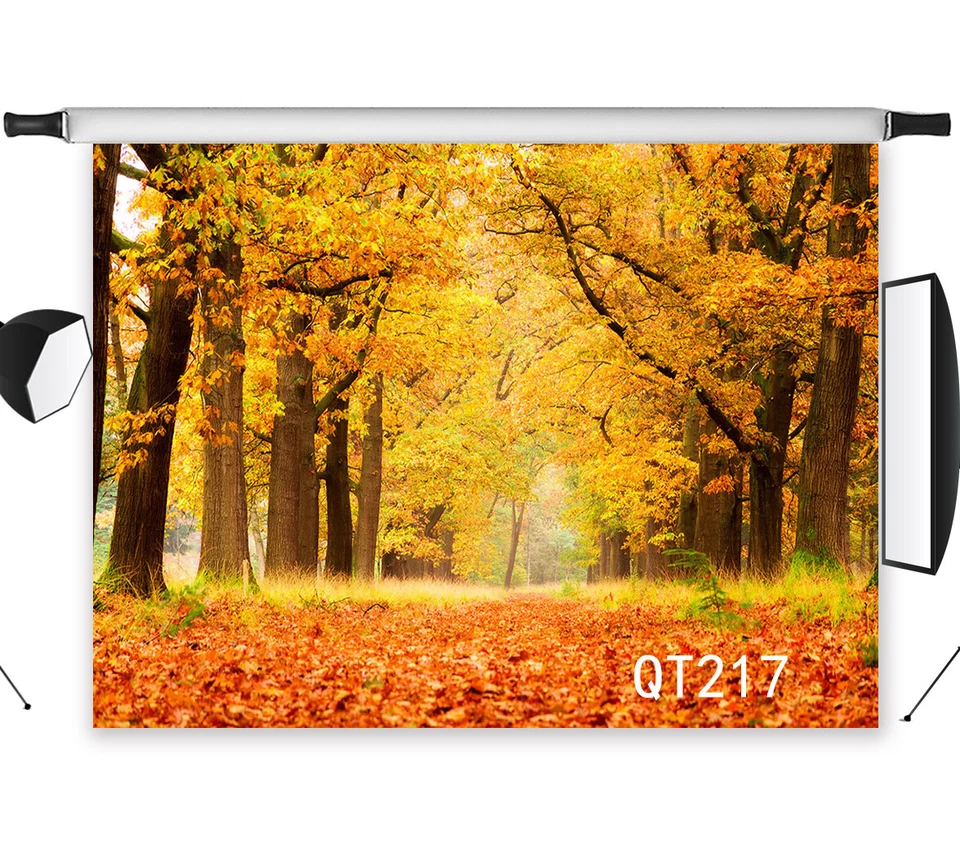 Fondo fotográfico paisaje naturaleza árboles bosque otoño 10x8 pies vinilo estudio telón de fondo Foto 3 de 4