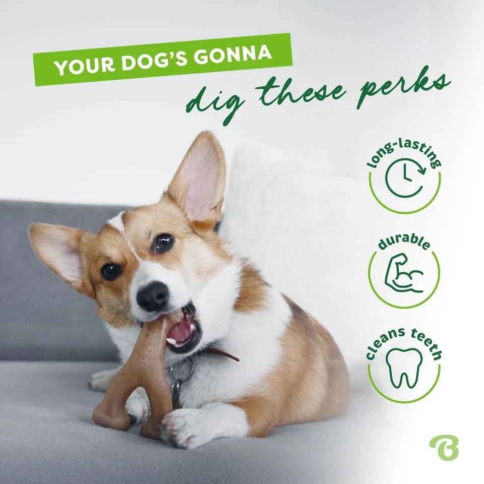 Benebone Indestructible Wishbone Dog Chew Toy for Aggressive Chewers, Long Lasti - Image 2 of 4