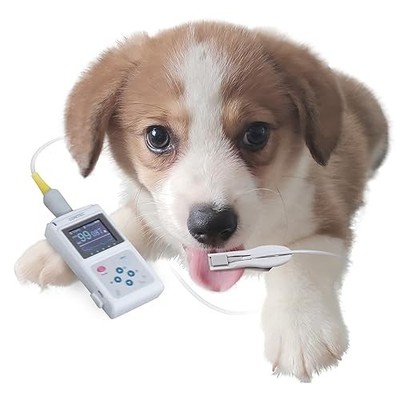 GIMA OXY-50 Veterinär-Pulsoximeter mit Software und Farbdisplay