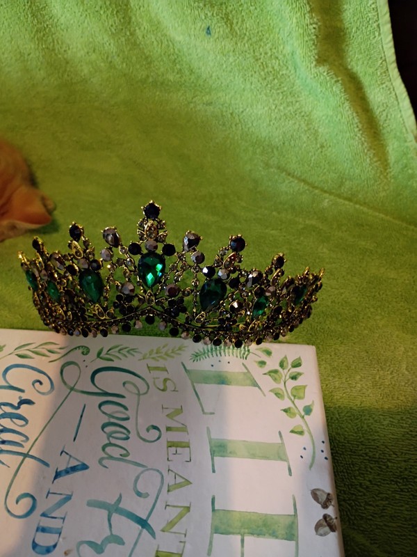 Beautiful Bridal Tiara Unbranded 