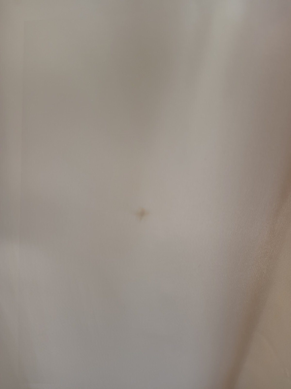 Picture 8 of 8