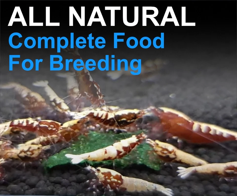 MTAQUATICS Freshwater Shrimp Main Food for Neocaridina and Caridina Shrimps. - Image 2 of 3