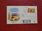 Israel 1950 - FDC/Postal Hist - Negev Camel - Registered/Internal