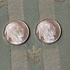 1/10 oz. Silver Round .999 fine Silver Towne Brand Indian Head Coins