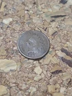 1891 Indian Head Cent Penny