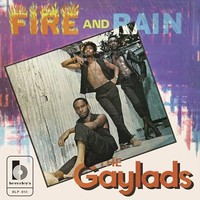 Gaylads - Fire And Rain - Vinyl Record - G1398Z