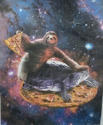 Sloth & Turtle On Pizza In Space Funny Blanket Soft Throw 50''x60''