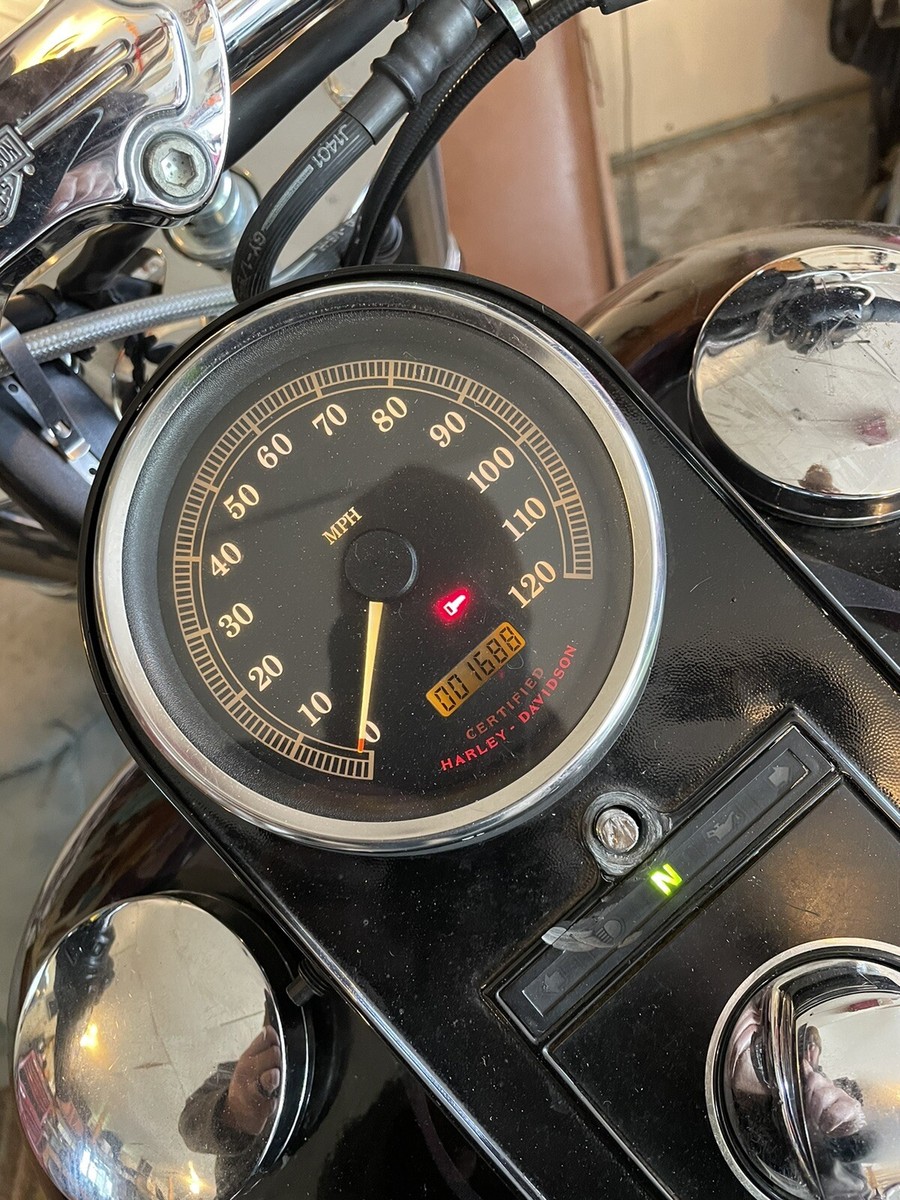 99-03 OEM Harley Softail 5