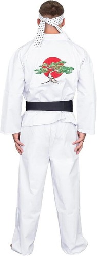 Karate Headband Mr Myagi Daniel Cobra Headband Halloween Costume Cosplay - Picture 9 of 12
