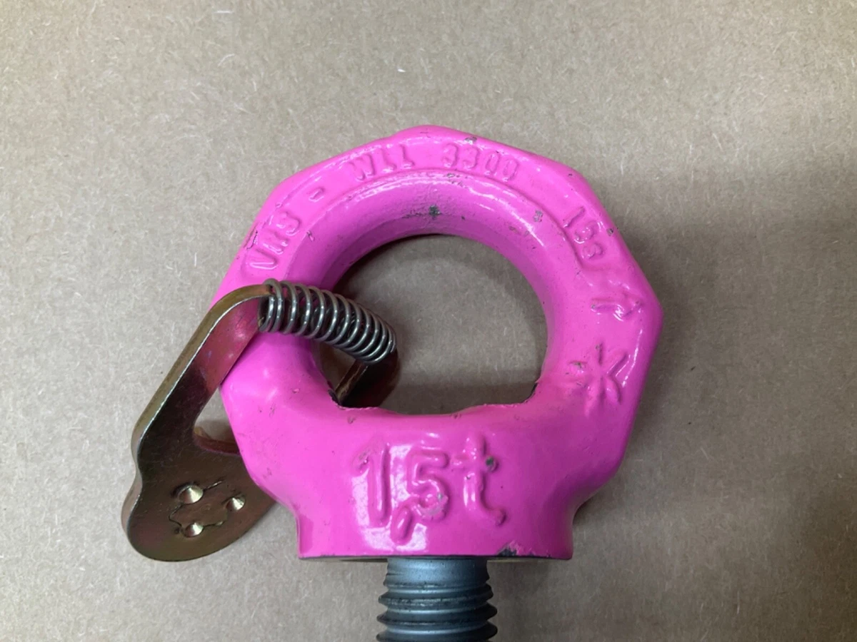 Top 158+ rud chain hoist ring best awesomeenglish.edu.vn