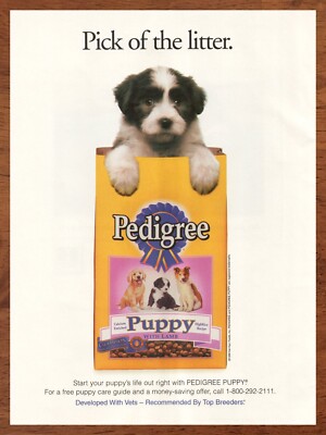 Puppy Dog On Pedigree Commercial Breed 1999 Pedigree Puppy Dog