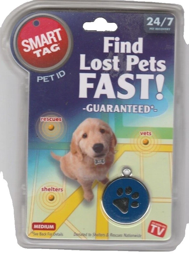 Etiquetas de identificación de perro femenino