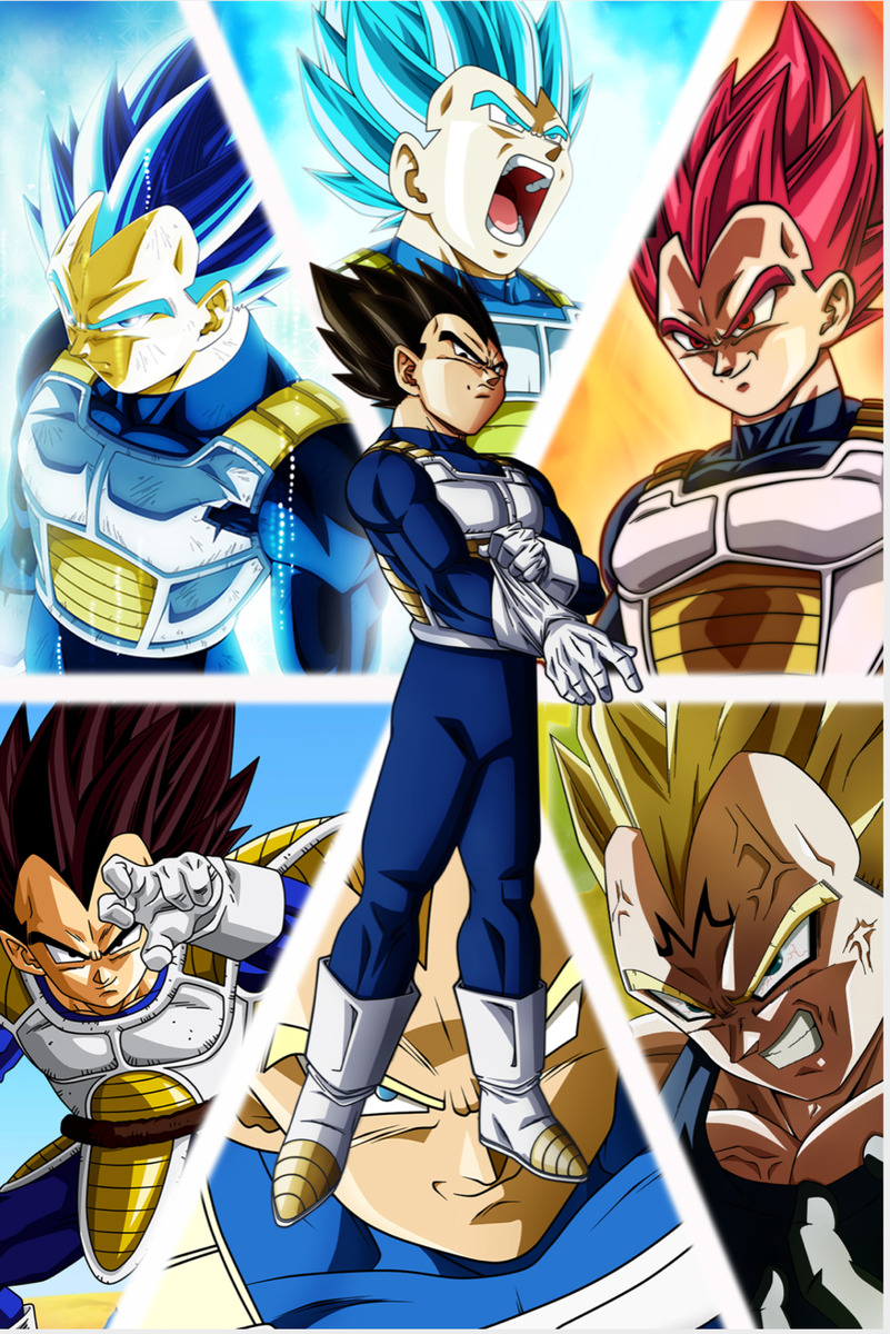 Dragon Ball Super Poster Goku and Vegeta SSJ/Blue/God 12inx18in