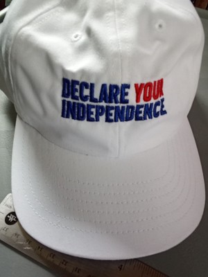 RFK Jr 24 Campaign Hat Cap With Embroidered Slogan Declare Your Independence 