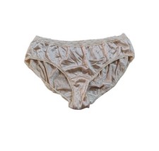 Vintage Warner s Shine-On Nylon Lace Panties Size 6 Light Beige Stripes
