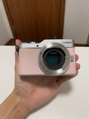 Panasonic DMC-GF9 ☆送料無料☆ Panasonic Miralles Single-lens Camera Lumix Gf9 Double Prism Lens