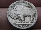 1919 S Buffalo Nickel 5 Cent Piece- San Francisco, Good Reverse Details