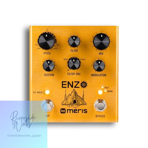 Meris EZO-DST Enzo Multi-Voice Synthesizer Pedal Effect