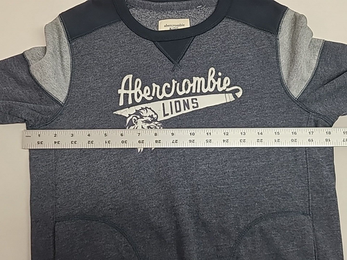 Abercrombie Kids Sweatshirt Boys 13/14 Grey Long Sleeve Soft Sweatshirt Lions - Picture 4 of 9