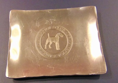 airedale terrier club of america